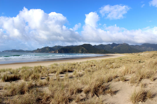 Great Barrier Island Accommodation