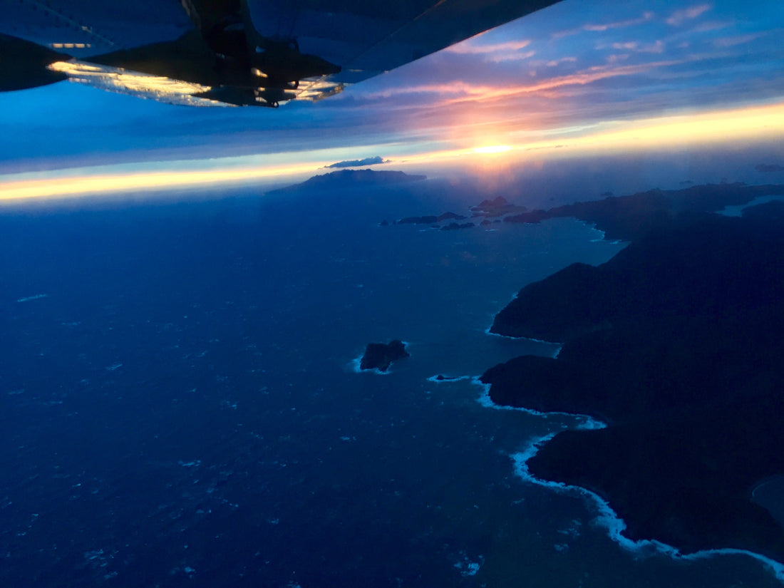 Travelling to Great Barrier Island - How to Get Here