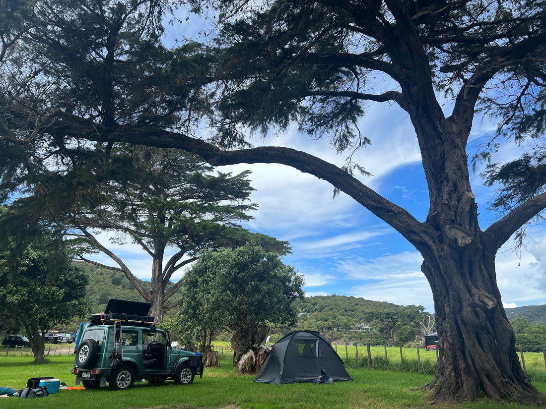 Camping on Great Barrier Island