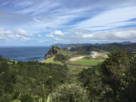 great barrier island campgrounds