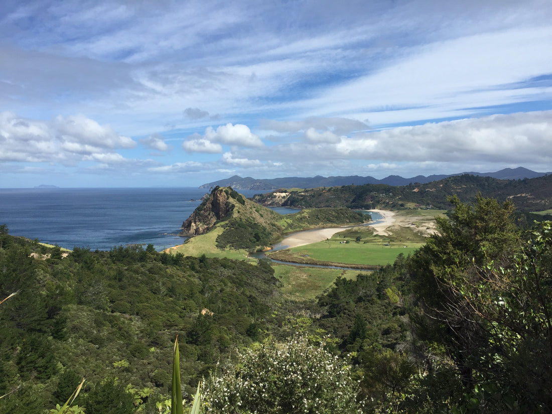 great barrier island campgrounds