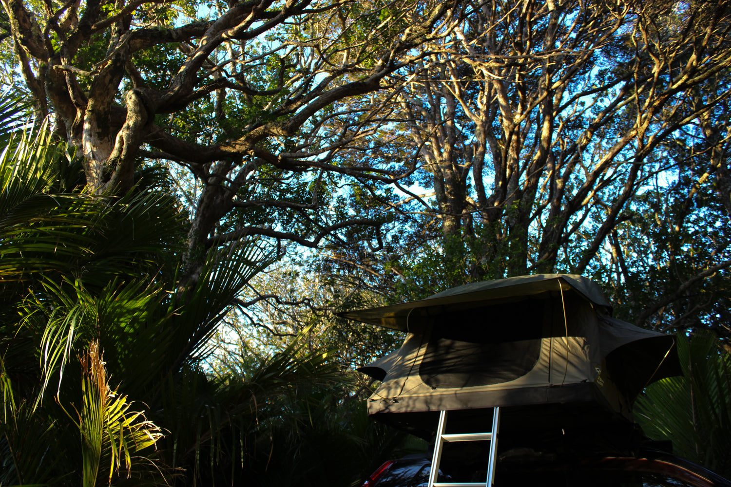 great barrier island camping