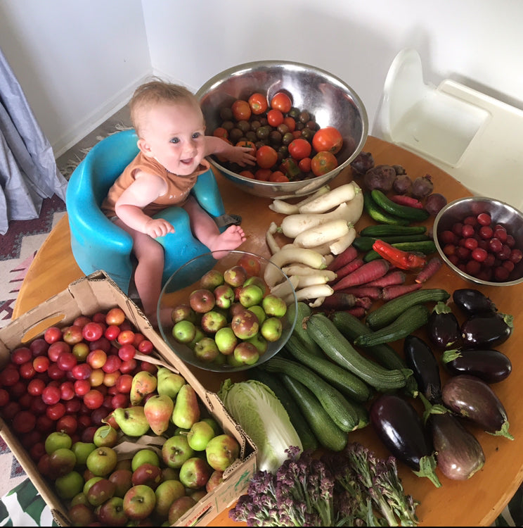 Fresh Organic Veggie Box