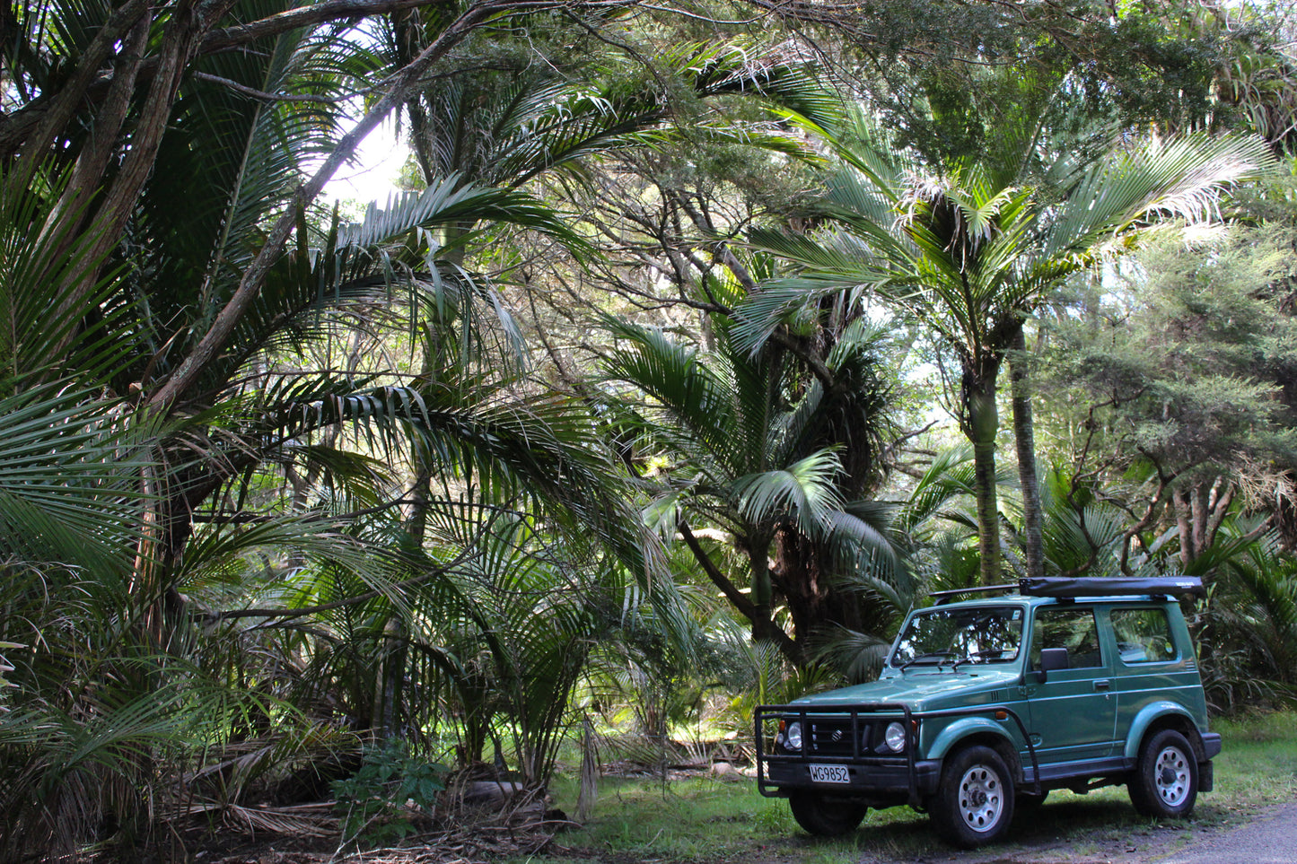 samurai jeep hire in barrier island nz