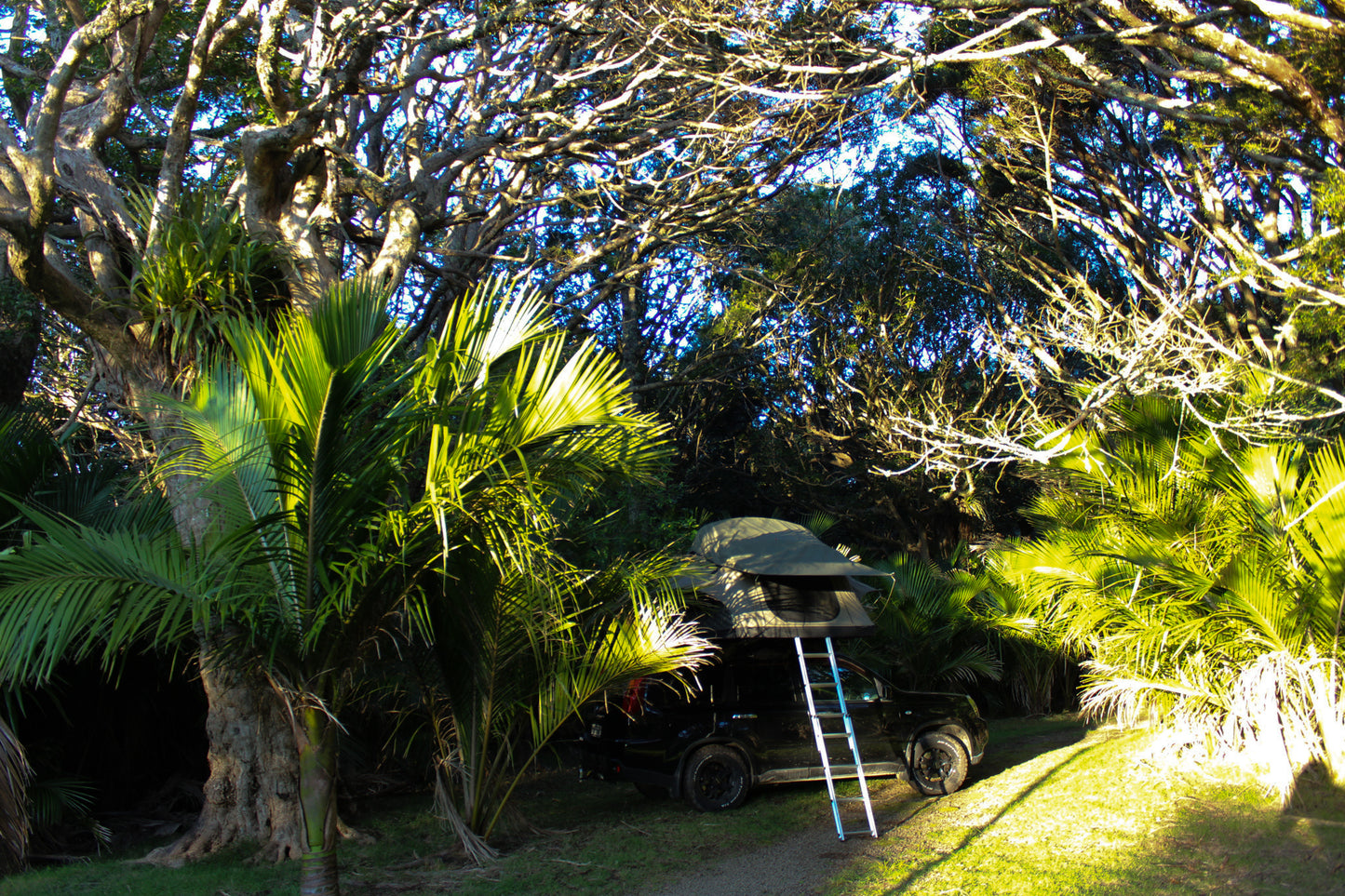 vehicle rental great barrier island